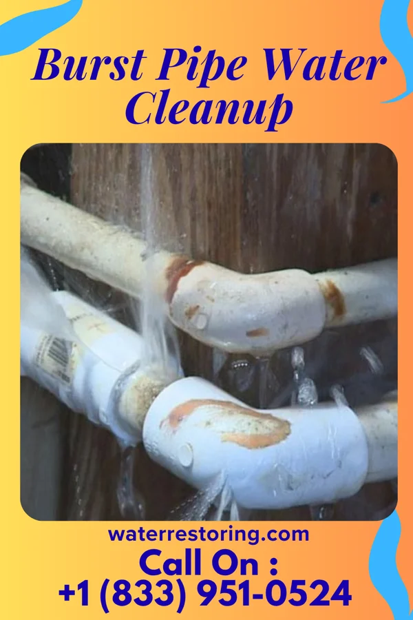 Burst Pipe Water Cleanup in Macungie, PA
