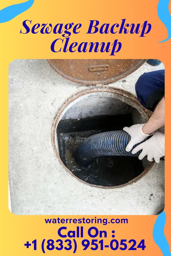 Sewage Backup Cleanup in Macungie, PA