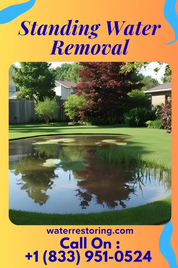 Standing Water Removal in Macungie, PA